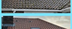 Moss-covered roof tiles in need of cleaning in Sussex