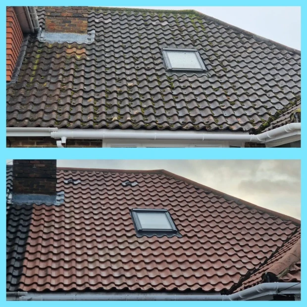 Moss-covered roof tiles in need of cleaning in Sussex
